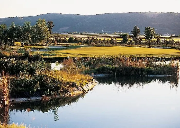 Western Golf D'albon Albon